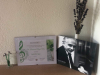 Elismeres_Nora